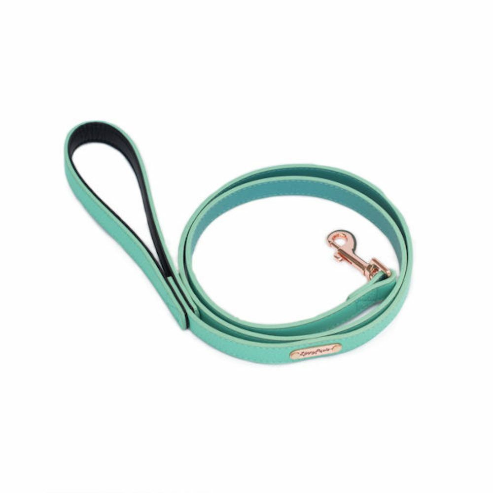 Zippy Paws Leather Vivid Collection Leash